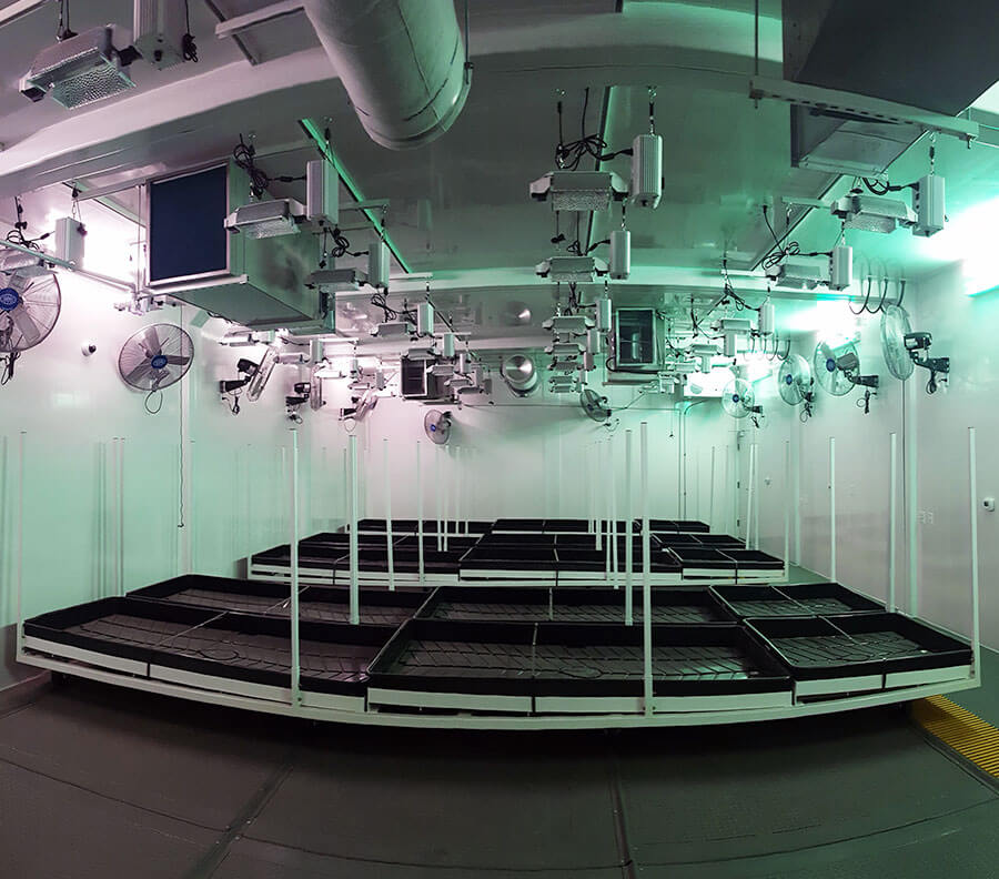 Roller system for trays ensures easy access to plants for watering and maintenance.