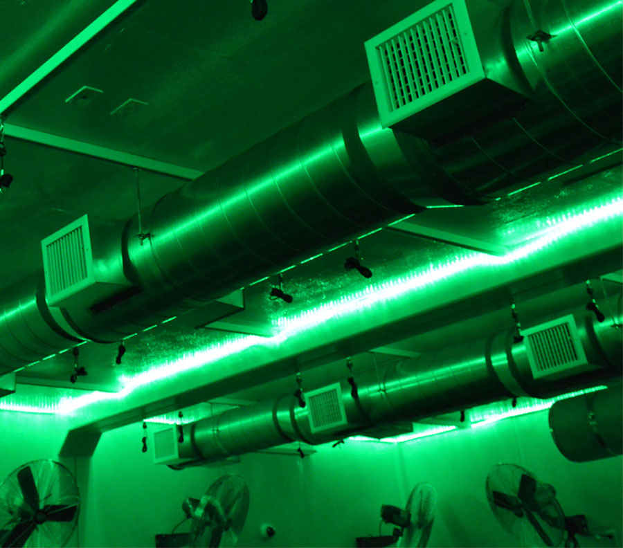 There are many grow light options available.